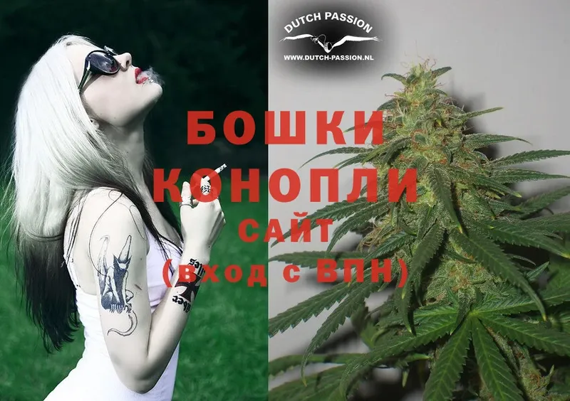 Конопля OG Kush  Жиздра 